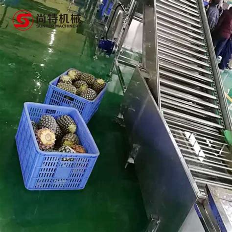 pineapple processing machinery|Canned Pineapple Production Line Processing Machine .